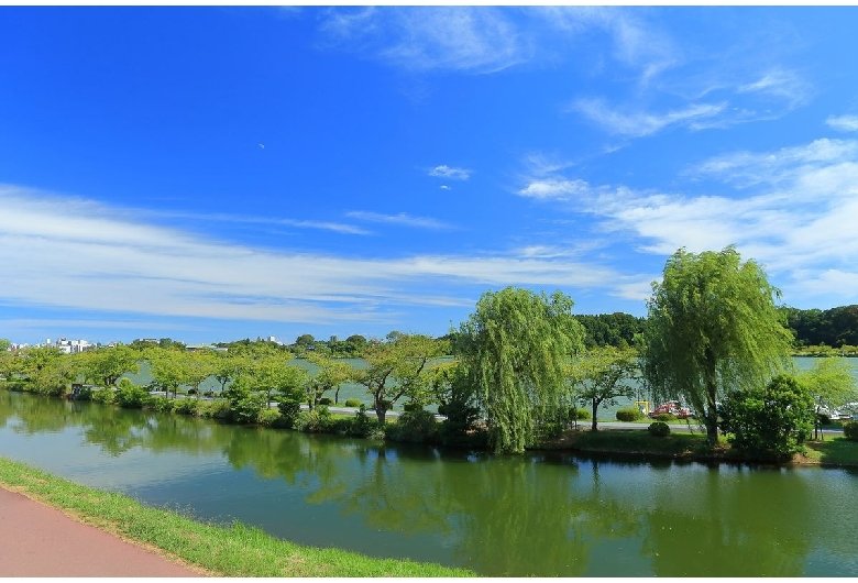 🏞️ 센바 공원 이미지 1